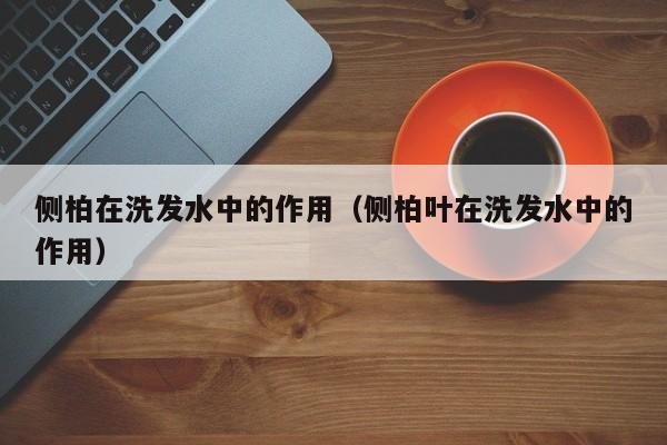 侧柏在洗发水中的作用(侧柏叶在洗发水中的作用)