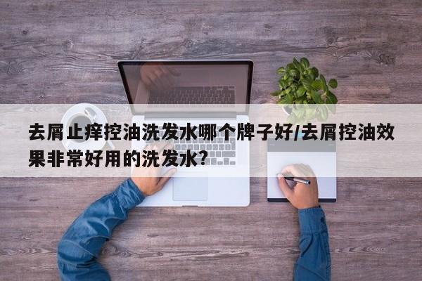 去屑止痒控油洗发水哪个牌子好/去屑控油效果非常好用的洗发水?