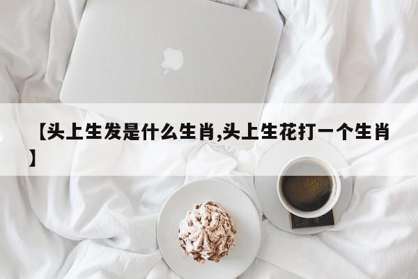 【头上生发是什么生肖,头上生花打一个生肖】