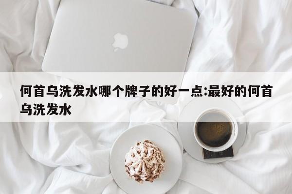 何首乌洗发水哪个牌子的好一点:最好的何首乌洗发水