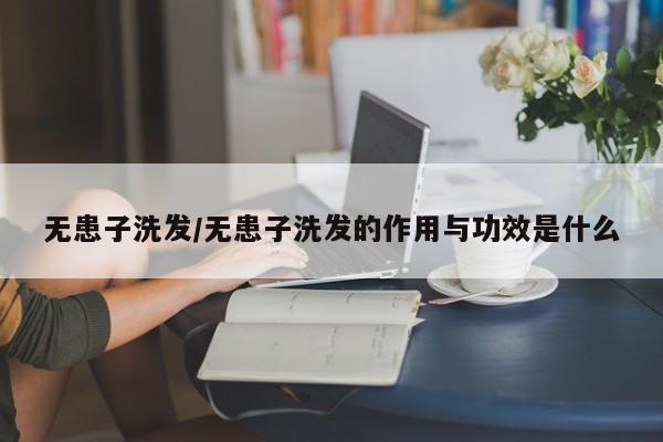 无患子洗发/无患子洗发的作用与功效是什么