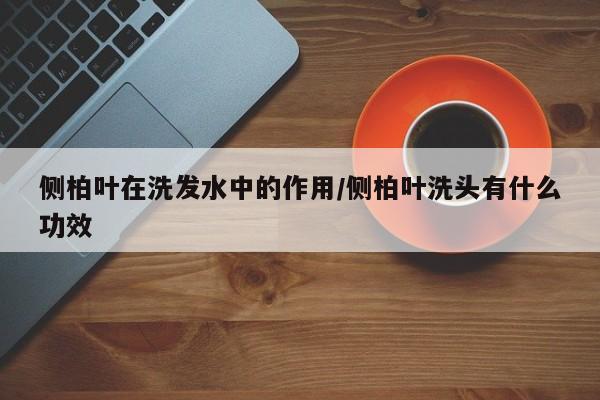 侧柏叶在洗发水中的作用/侧柏叶洗头有什么功效
