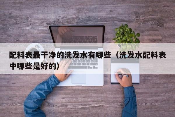 配料表最干净的洗发水有哪些(洗发水配料表中哪些是好的)