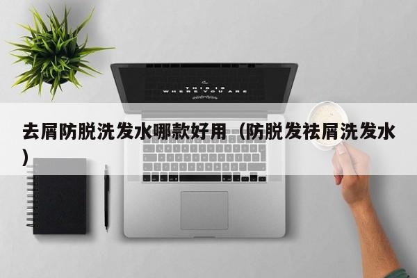 去屑防脱洗发水哪款好用(防脱发祛屑洗发水)