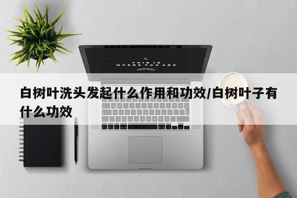 白树叶洗头发起什么作用和功效/白树叶子有什么功效
