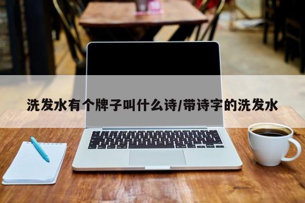 洗发水有个牌子叫什么诗/带诗字的洗发水
